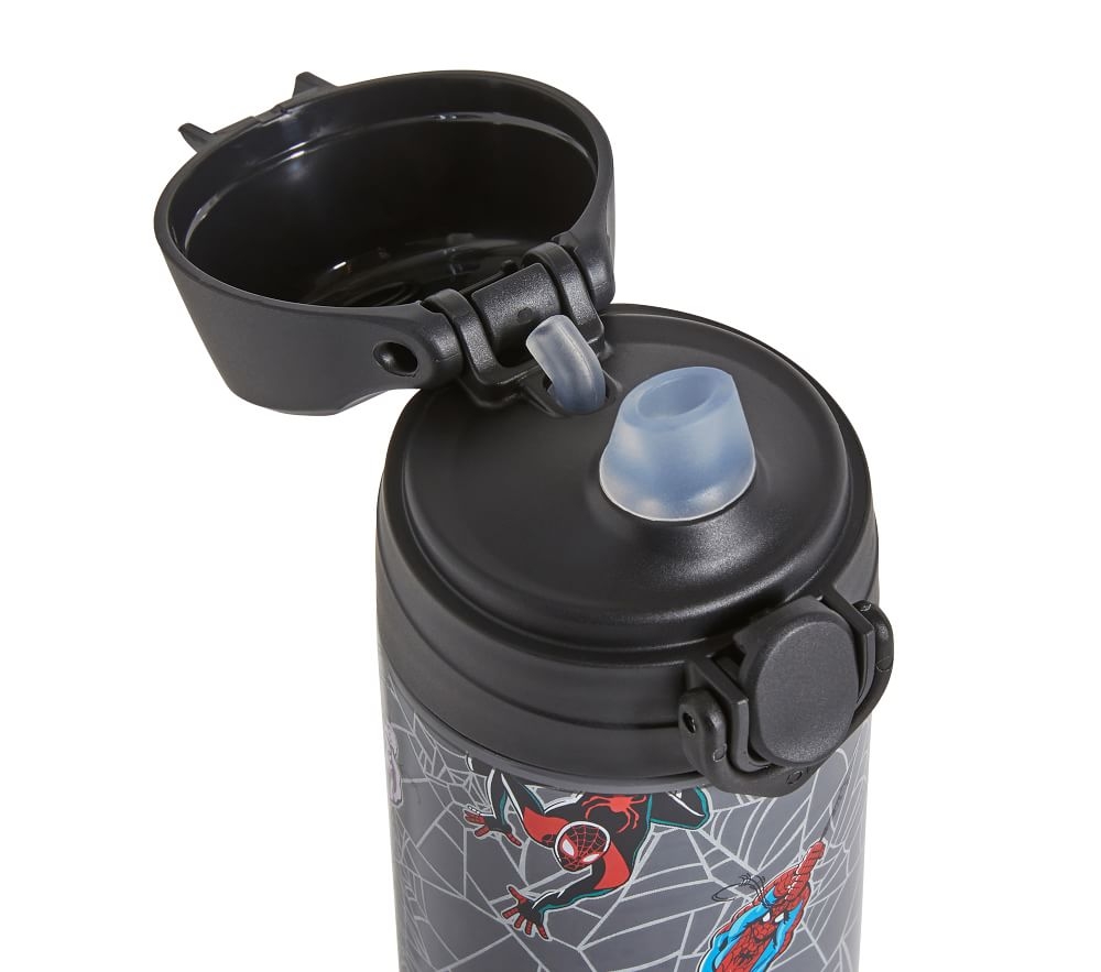 Pac-Man Stainless Steel Vacuum Insulated Water Bottle - ZAK!